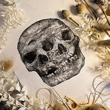 Load image into Gallery viewer, Dual Skull