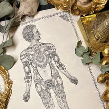 Load image into Gallery viewer, The Ornated Man